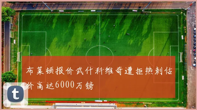 布莱顿报价武什科维奇遭拒热刺估价高达6000万镑
