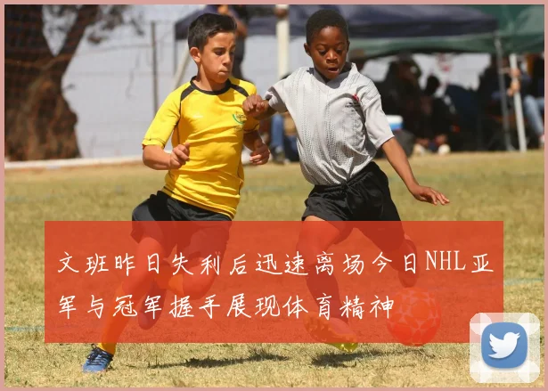 文班昨日失利后迅速离场今日NHL亚军与冠军握手展现体育精神